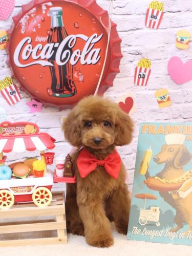 20230902エマちゃん